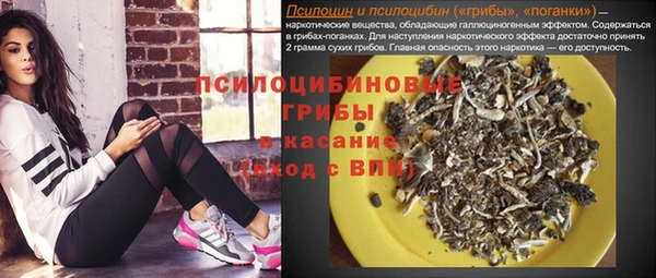 ешки Аркадак