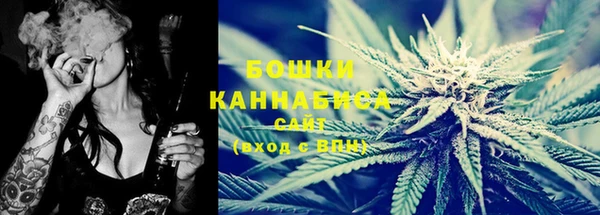 ешки Аркадак