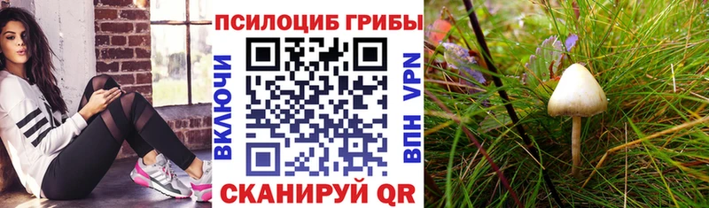 Галлюциногенные грибы прущие грибы  Купить где  Североуральск 